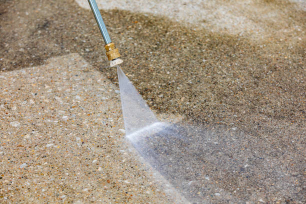 Best Soft Washing  in Milton, NY